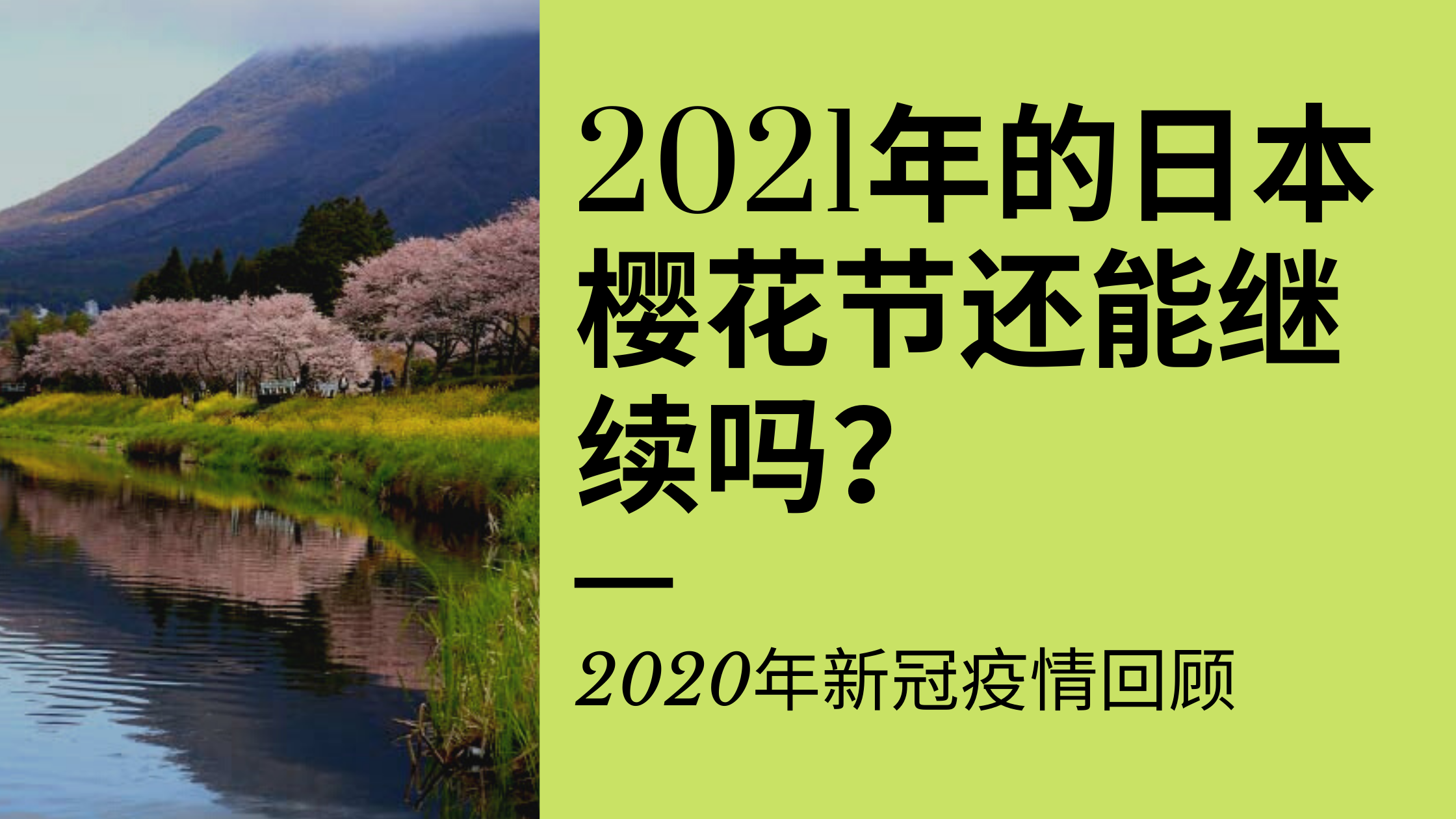 21年日本樱花节还能继续进行吗 China Mcn Talent Agency